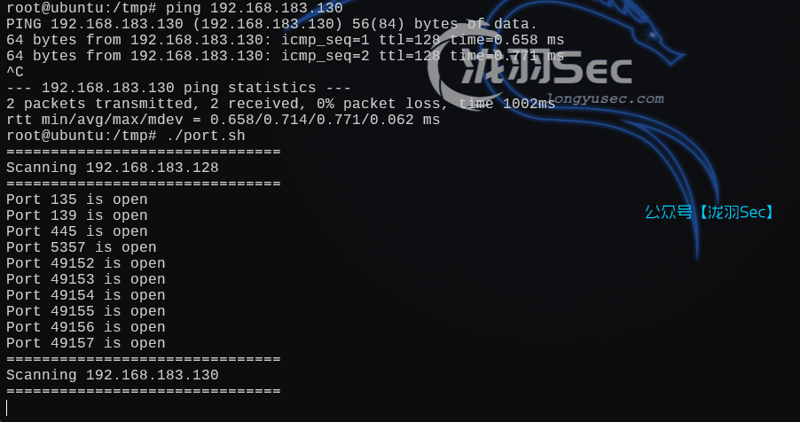 image-20250215204344219