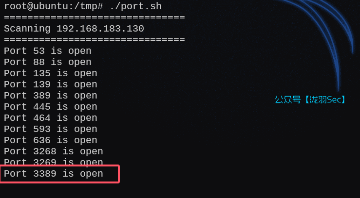 image-20250216180006703