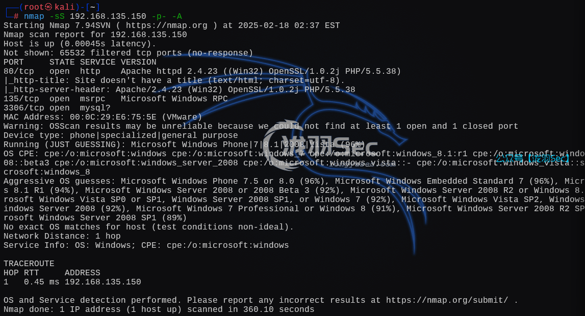 image-20250218154904989