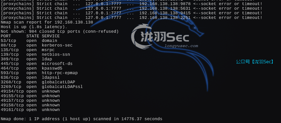 image-20250220111937318