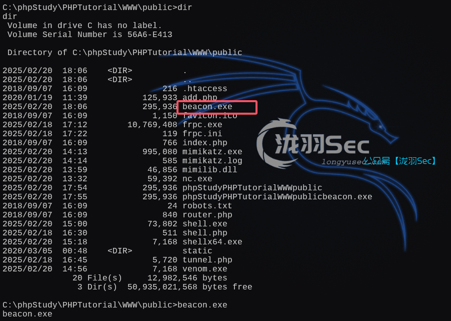 image-20250220181040576