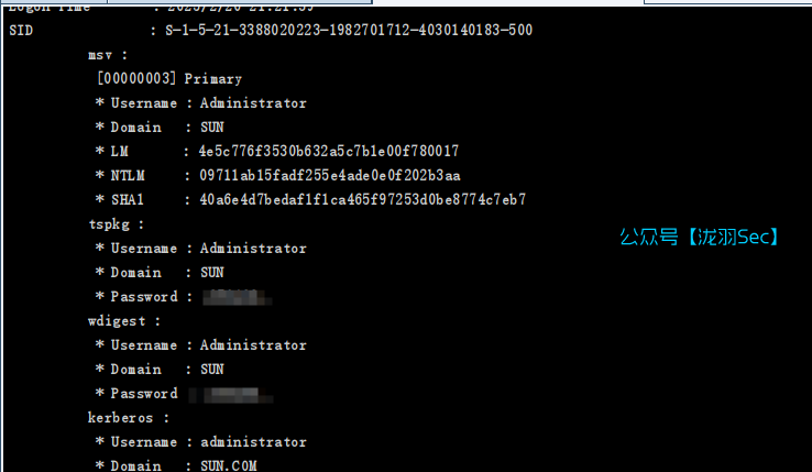 image-20250220213147272