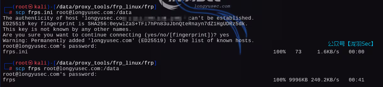 image-20250222195659180