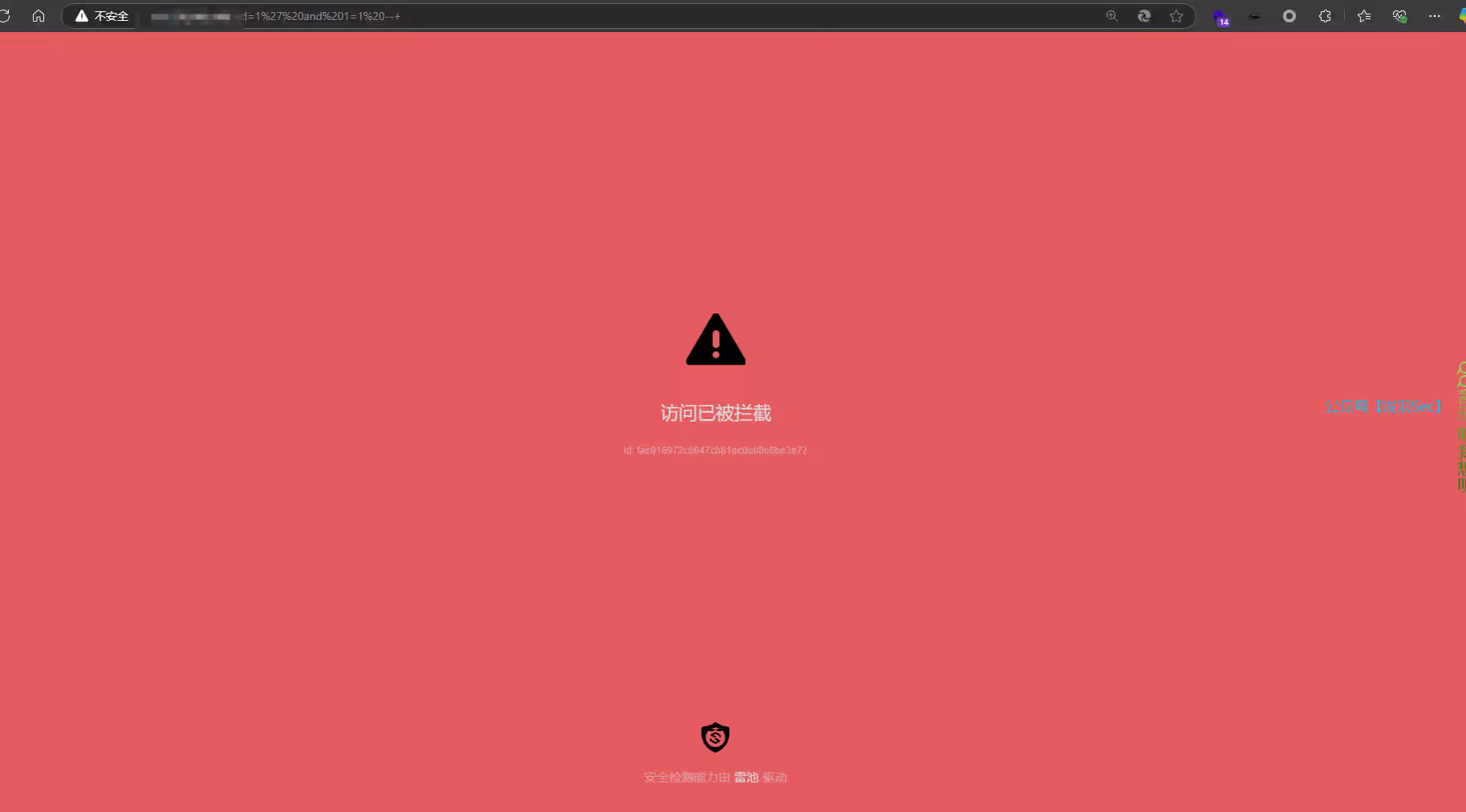 image-20250222231457820