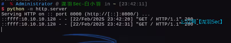 image-20250222234306963