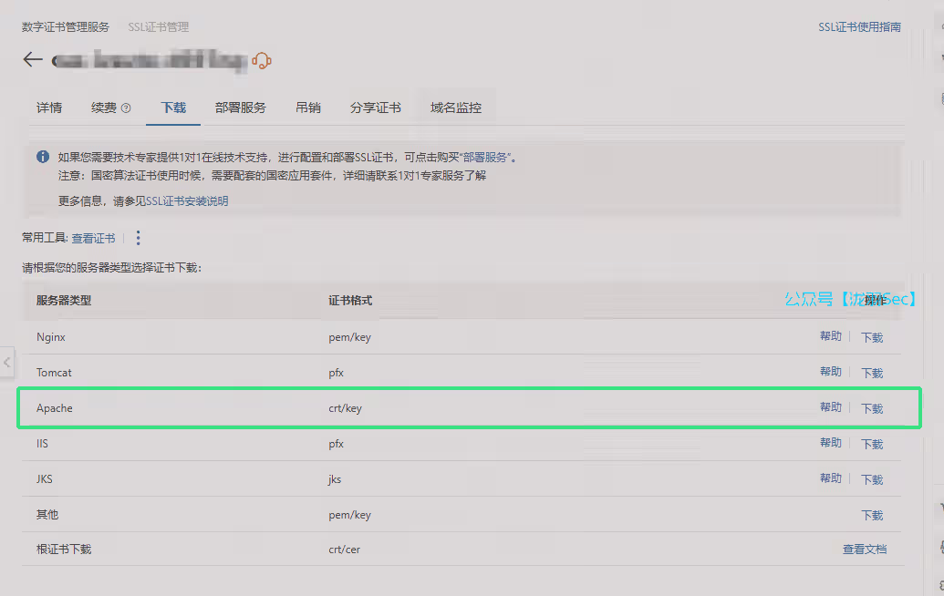 image-20250223010243922