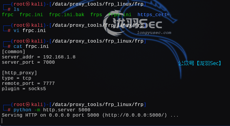 image-20250227041245906