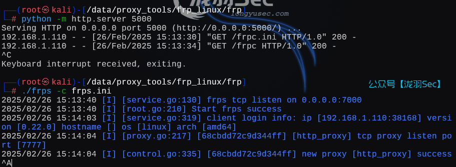 image-20250227041425665