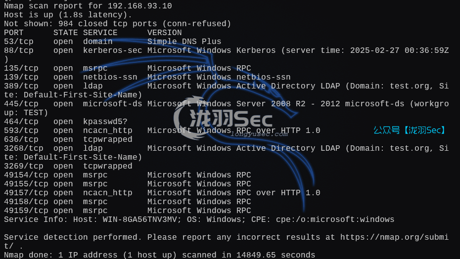 image-20250227130700243