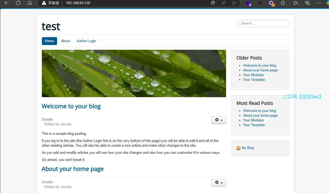 image-20250227132024440