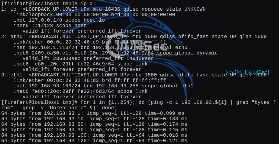 image-20250227194354896