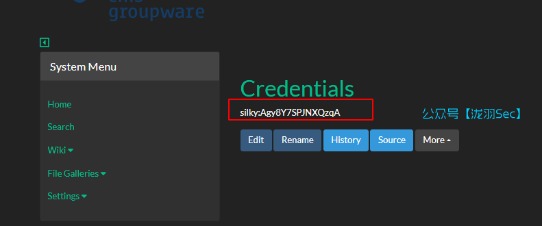 image-20250204194821335