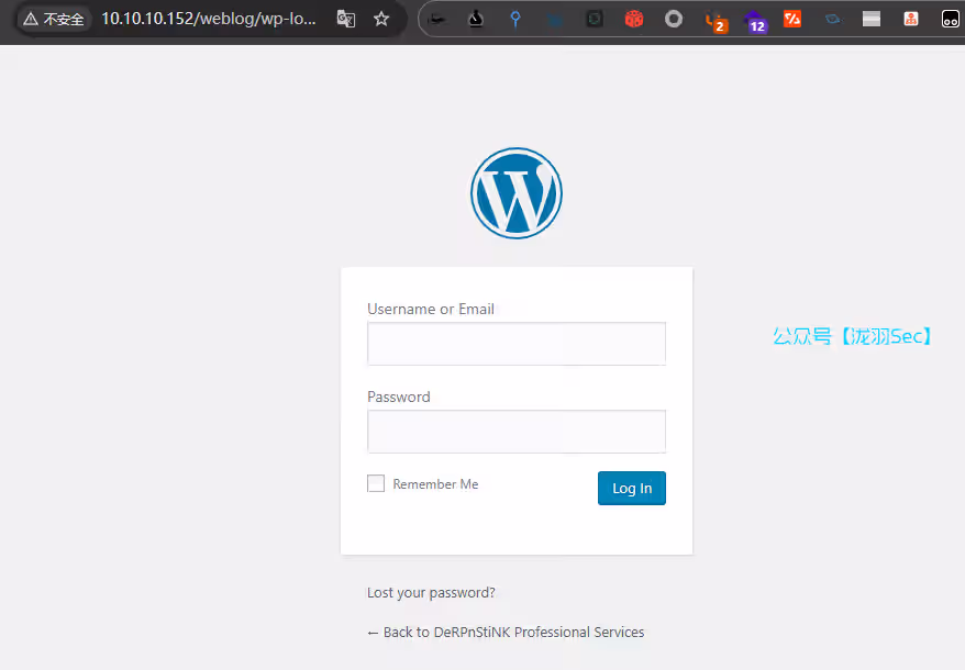 image-20250422231403569