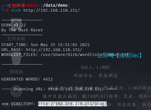 image-20250525155205328