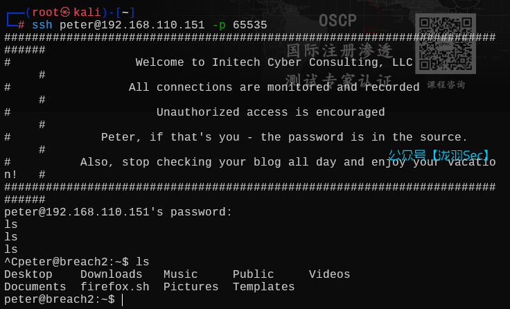 image-20250603233145538