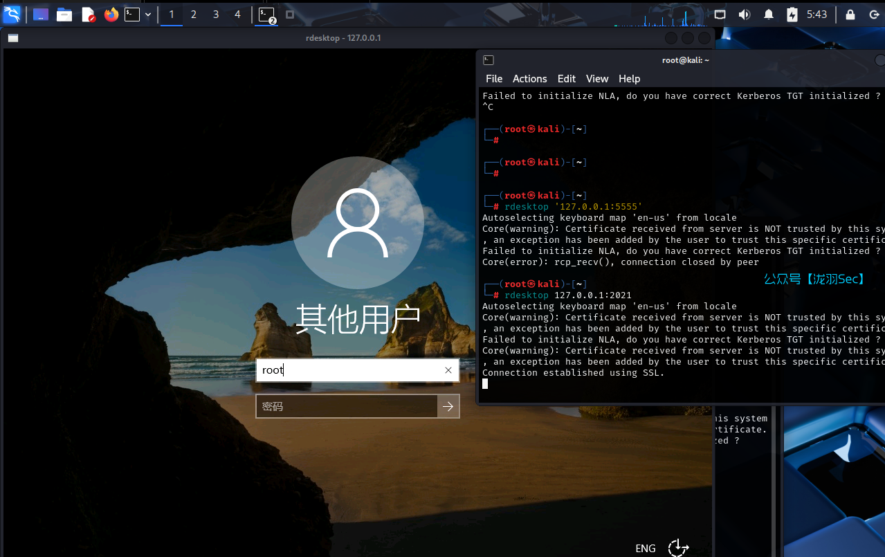 image-20250611174403509