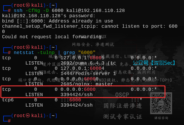 image-20250611184345445