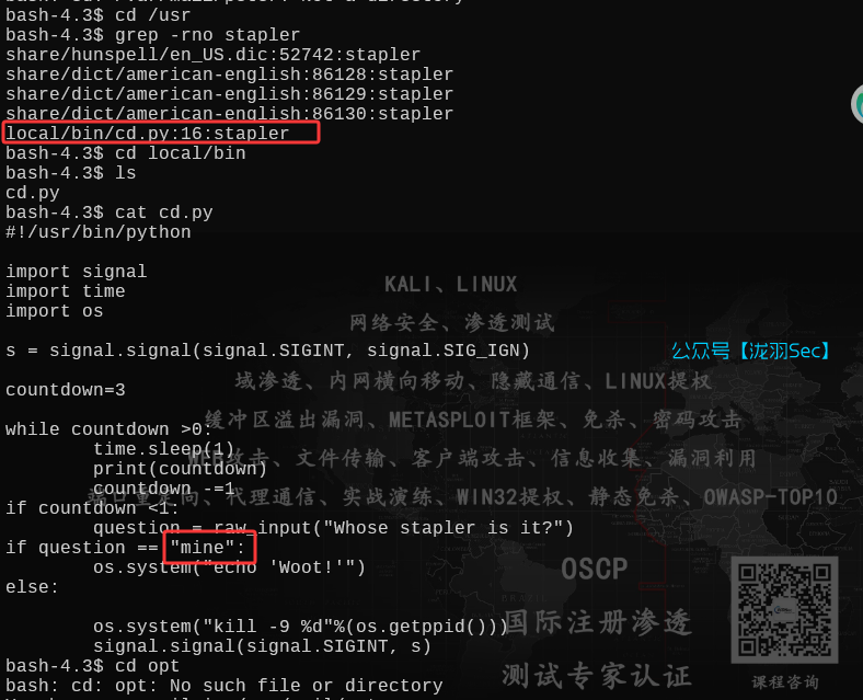 image-20250612194940997