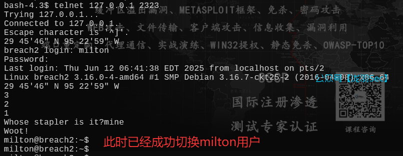 image-20250612195717900