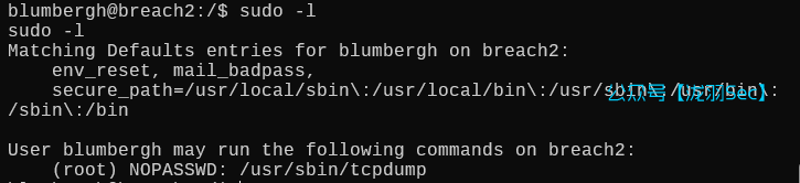 image-20250612203006434