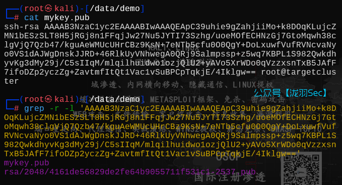 image-20250704152035365