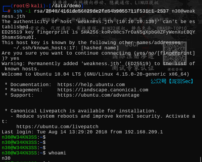 image-20250704152732873