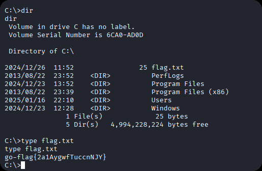 image-20251206171229100